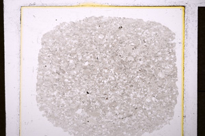 Plane Polarized, E19867