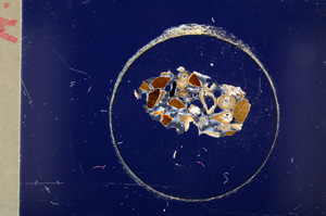 Cross Polarized, E19885