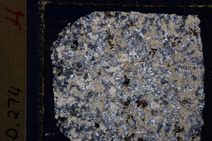 Cross Polarized, E19896