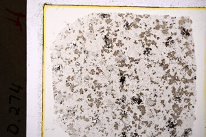 Plane Polarized, E19896