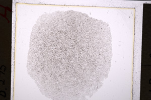 Plane Polarized, E19897