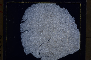 Cross Polarized, E19898