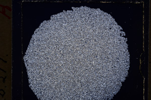 Cross Polarized, E19899