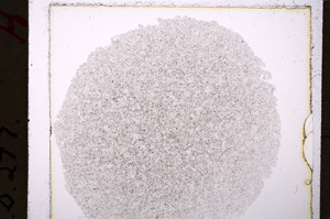 Plane Polarized, E19899