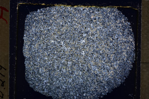 Cross Polarized, E19901