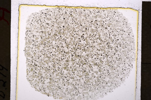 Plane Polarized, E19901