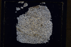 Cross Polarized, E19902