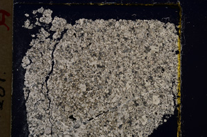 Cross Polarized, E19903