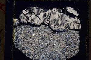 Cross Polarized, E19904