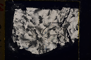 Cross Polarized, E19905