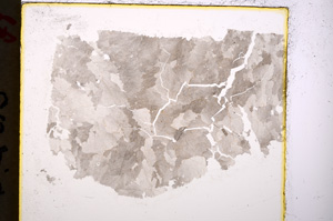 Plane Polarized, E19905