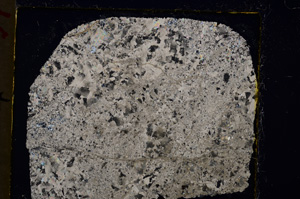 Cross Polarized, E19906