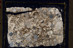 Cross Polarized, E19911