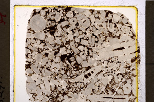 Plane Polarized, E19913