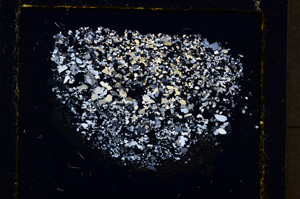 Cross Polarized, E19914