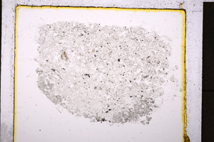 Plane Polarized, E19914