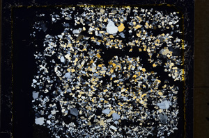 Cross Polarized, E19916