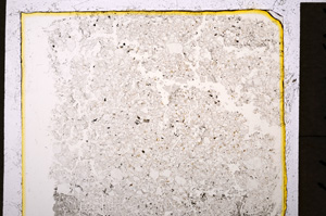 Plane Polarized, E19916