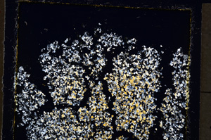 Cross Polarized, E19923