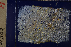 Cross Polarized, E19924