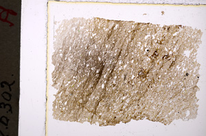 Plane Polarized, E19924