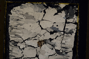 Cross Polarized, E19929