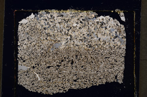 Cross Polarized, E19930