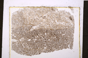 Plane Polarized, E19930