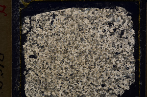 Cross Polarized, E19932