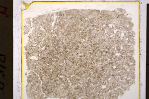 Plane Polarized, E19932