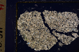 Cross Polarized, E19933