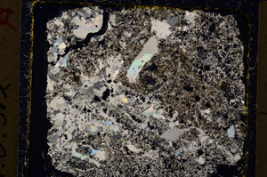 Cross Polarized, E19934