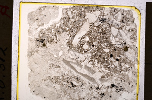 Plane Polarized, E19934