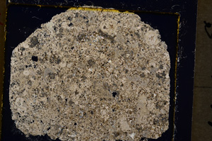 Cross Polarized, E19936