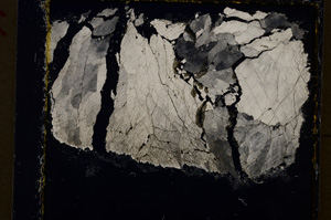 Cross Polarized, E19938