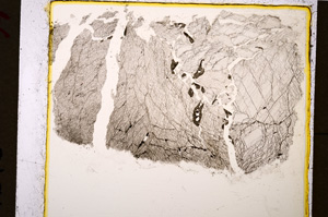 Plane Polarized, E19938