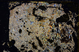 Cross Polarized, E19942