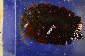 Cross Polarized, E19965/A