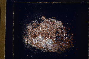 Cross Polarized, E19985