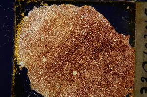 Cross Polarized, E19986/A