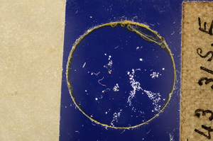 Cross Polarized, E19994