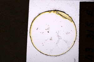 Plane Polarized, E19994