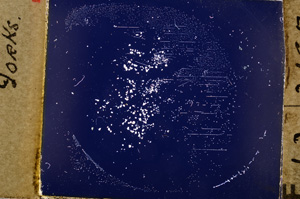 Cross Polarized, E19994/A