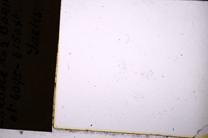 Plane Polarized, E19994/B