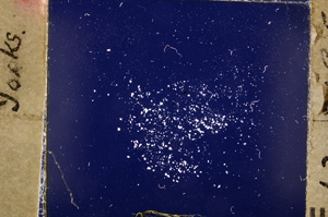 Cross Polarized, E19994/C