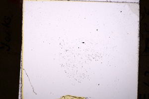 Plane Polarized, E19994/C