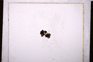 Plane Polarized, E19994/D