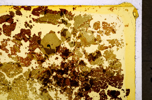 Plane Polarized, E20013