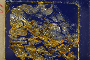 Cross Polarized, E20014