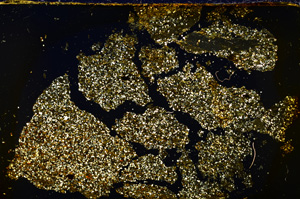 Cross Polarized, E20014/A